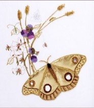 Золотой мотылек. Goldwork Moth