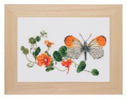 Бабочка и настурция (Butterfly and Nasturtiums)