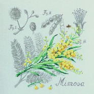 Этюд Мимоза.Etude au Mimosa